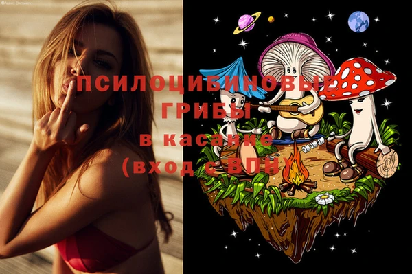 гидра Арсеньев